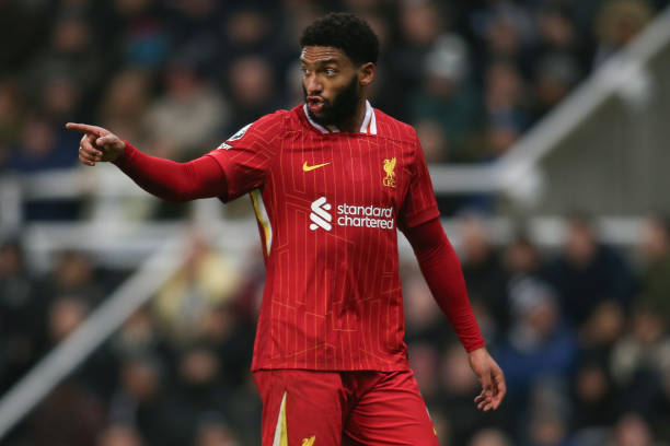 海港的后防 海港的后防