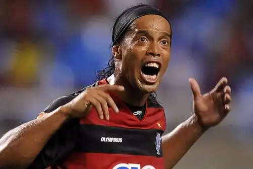 获得了全国 获得了全国