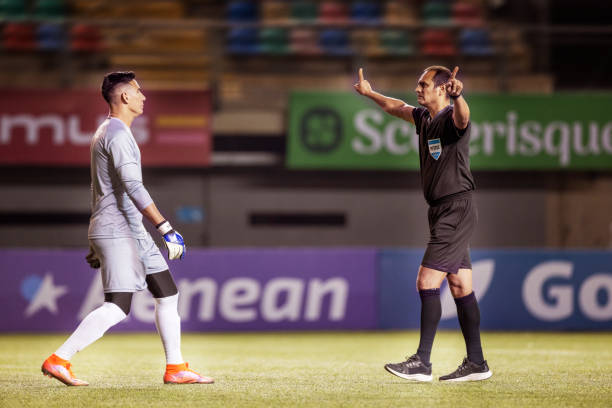 这些数据充 这些数据充